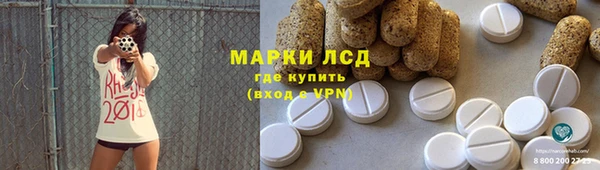 шишки Каменногорск