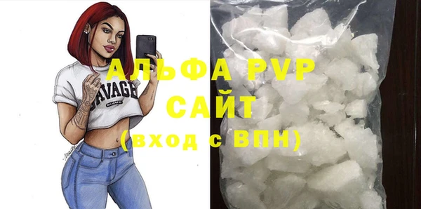 шишки Каменногорск