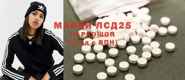 шишки Каменногорск