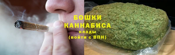 шишки Каменногорск