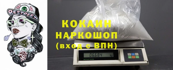 шишки Каменногорск