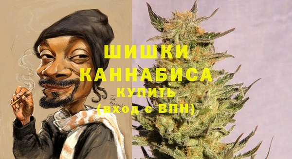 шишки Каменногорск
