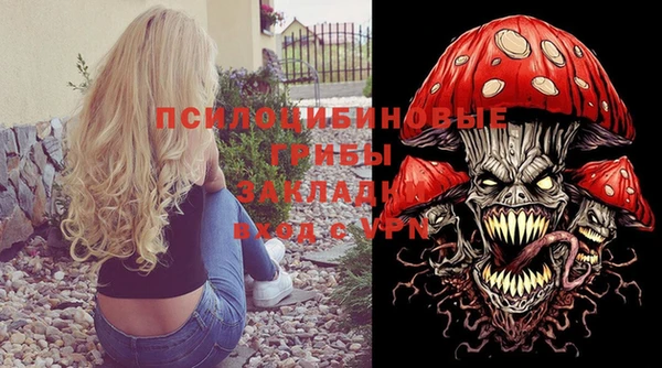 шишки Каменногорск