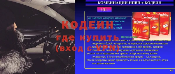 шишки Каменногорск