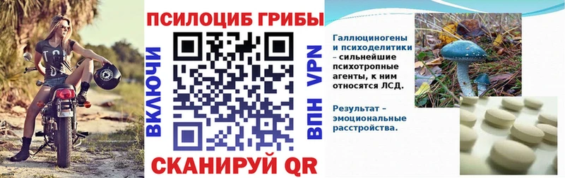 Купить  Белинский  Псилоцибиновые грибы GOLDEN TEACHER 