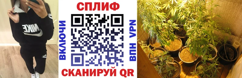 Канабис VHQ  Купить где  Белинский 